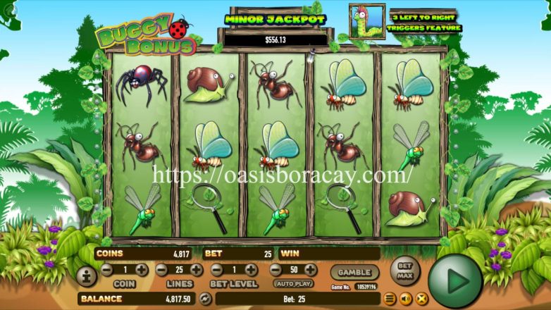 https://oasisboracay.com/